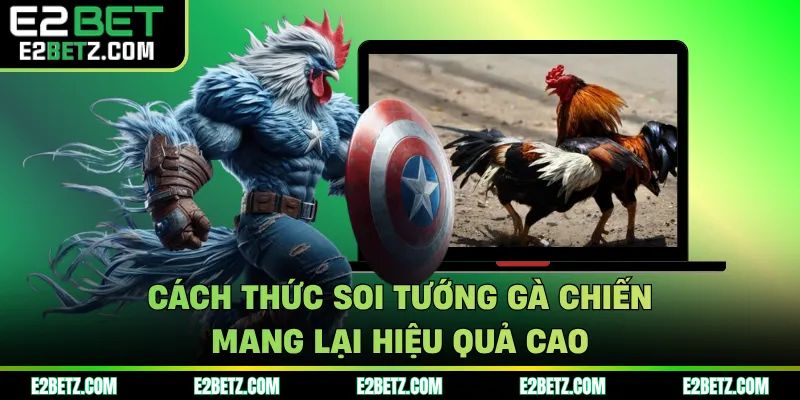 Cách thức soi tướng gà chiến mang lại hiệu quả cao