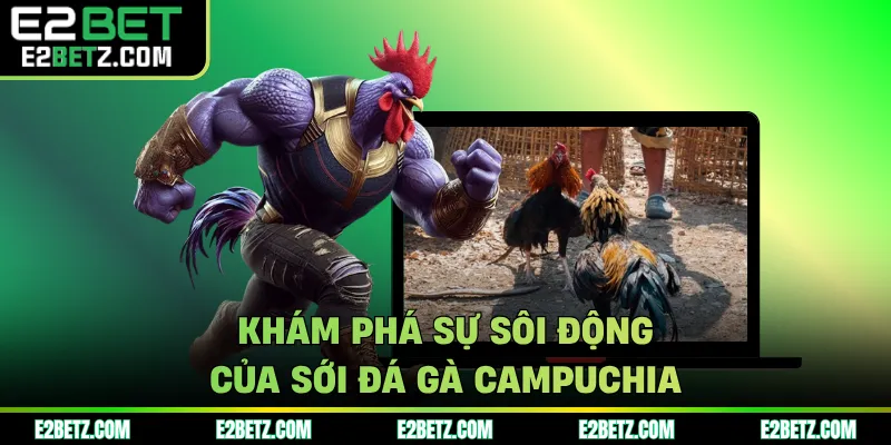 Khám phá sự sôi động của sới đá gà Campuchia